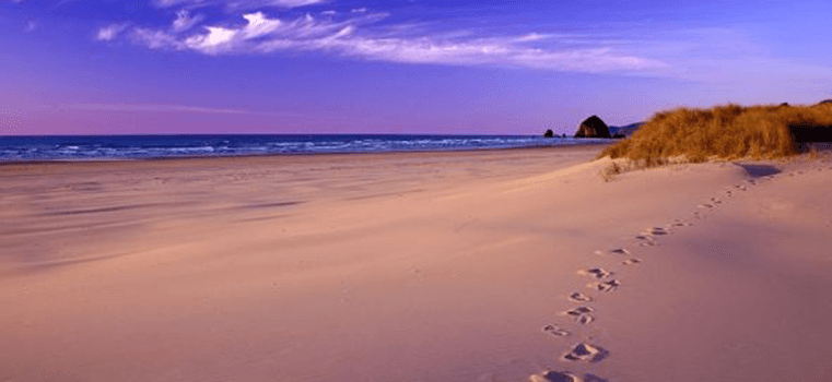 There are footprints in the sand on the beach leading to the ocean.