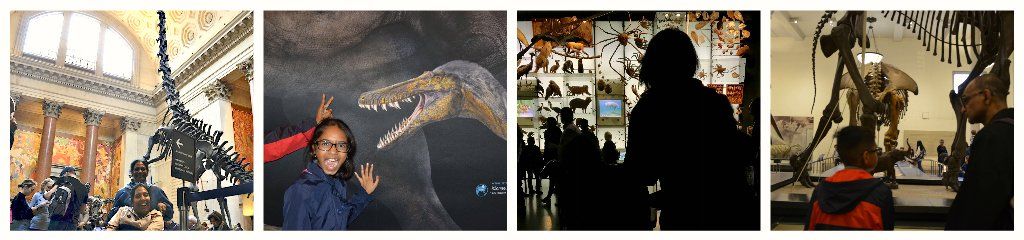 Accessible Travel NYC American Museum of Natural History Wheelchair Visit