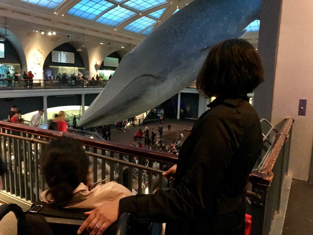 Accessible Travel NYC American Museum of Natural History  Wheelchair Visit