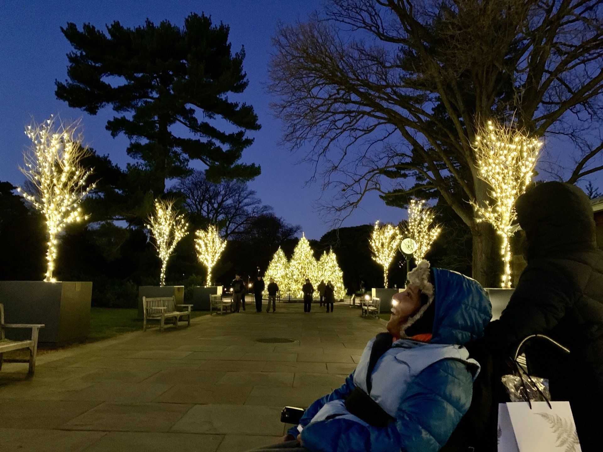 Wheelchair accessible New York Botanical Garden Train Show Exhibit Accessible Travel NYC