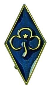 Friends of Guiding Badge Friends of Guiding Dumfries & Galloway
