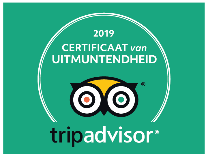 Een groen tripadvisor-logo met een uil erop