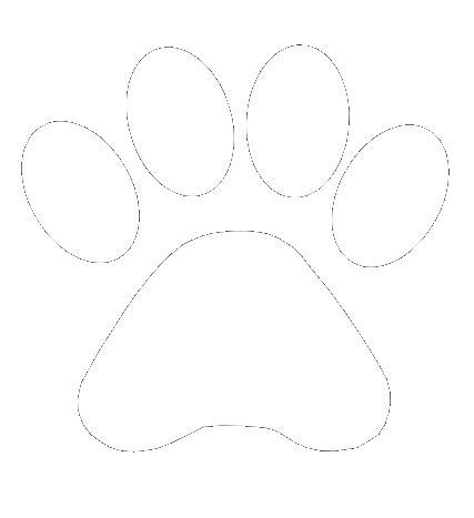 Dog friendly holiday parks Scotland