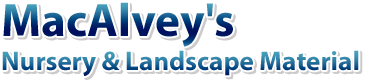 MacAlvey’s Nursery