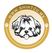 shih tzu en venta logo