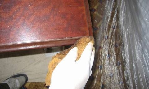 damaged furniture