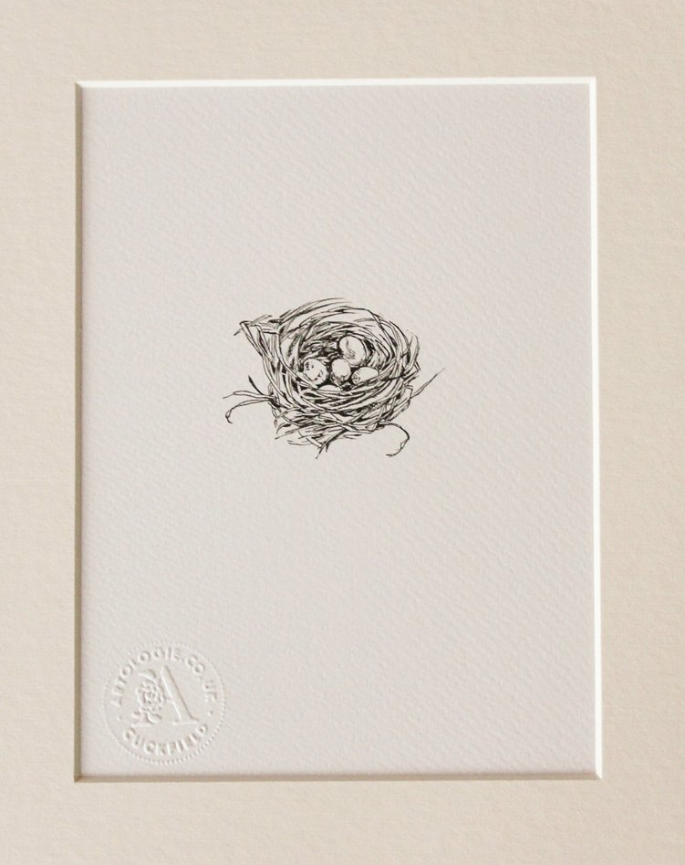 Black and white fine line drawing print of a nest with eggs in from original pen drawing by Wendy Rowark