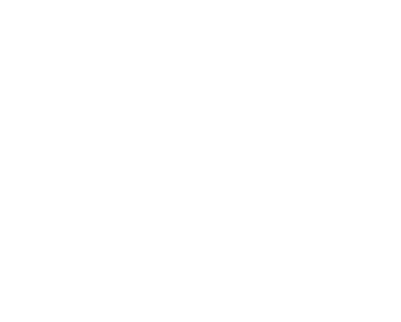 Tree Surgeons