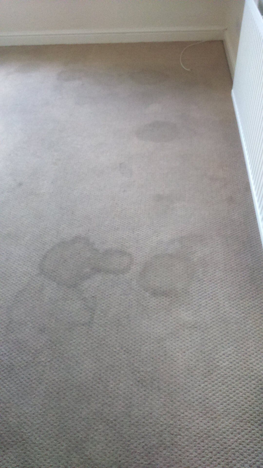 Carpet Cleaning