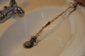 hair coming out of drain