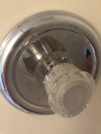 shower head