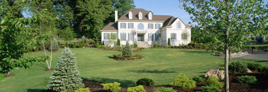 beautiful lawn