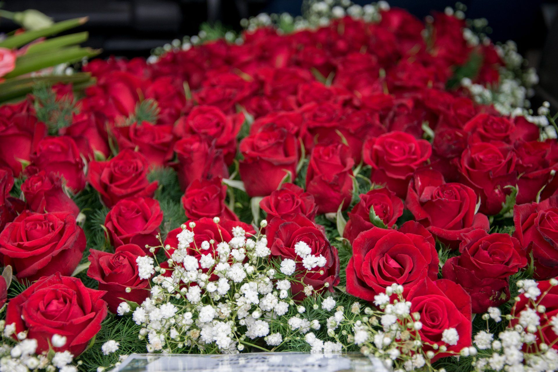 mazzi di rose