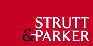 Our customers trust us to provide the best service. Strutt & Partner logo