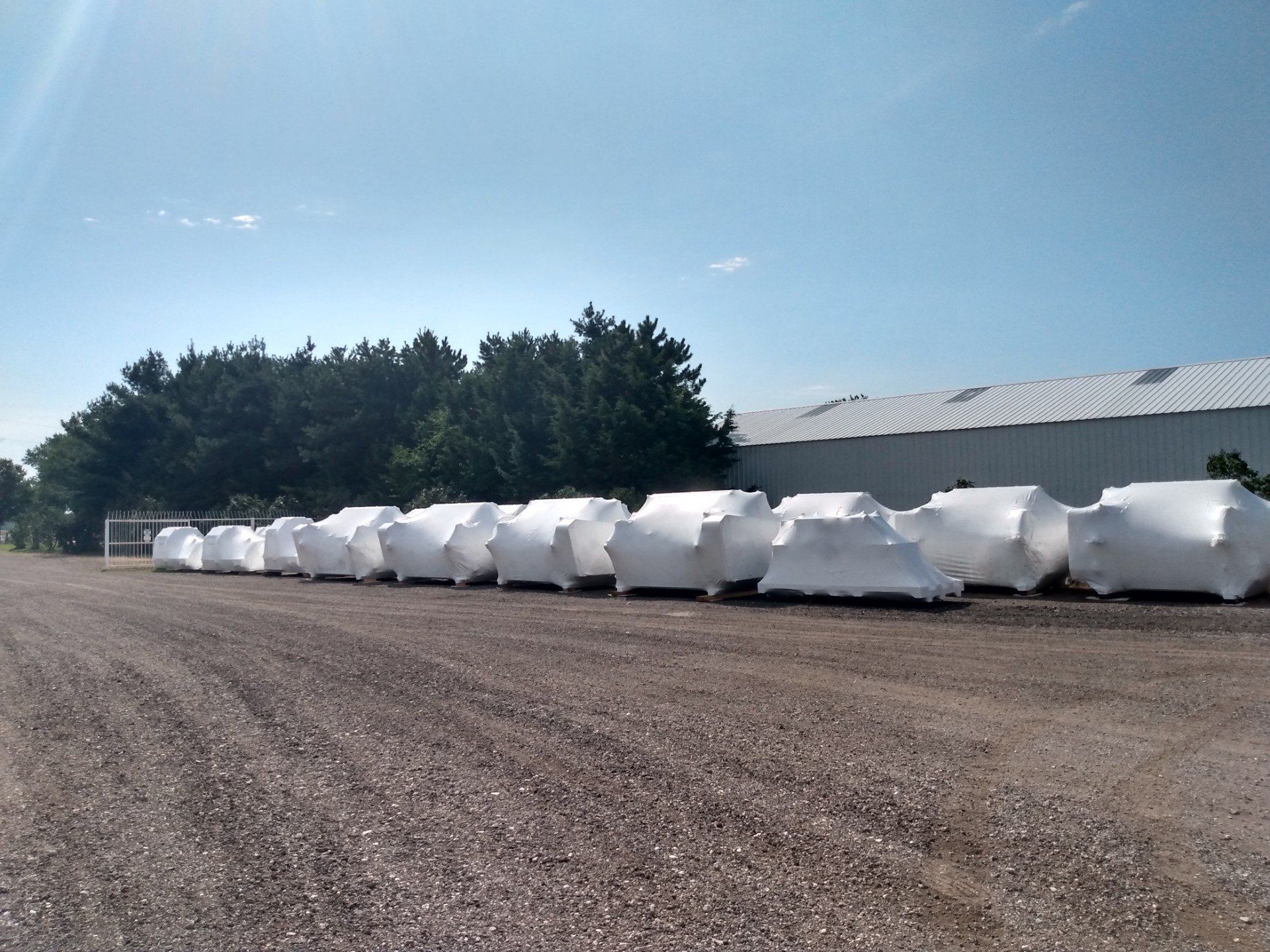 Row of white wrapped hay bales beside a gravel lot and metal shed under a clear sky