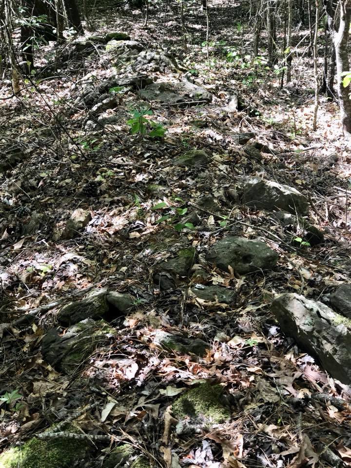 Leaf-covered forest trail with scattered rocks and dappled sunlight.