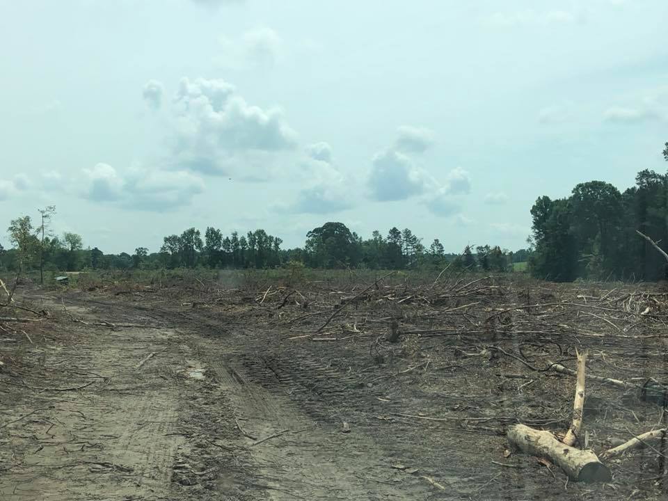 Cleared dirt field with tree line under a cloudy sky