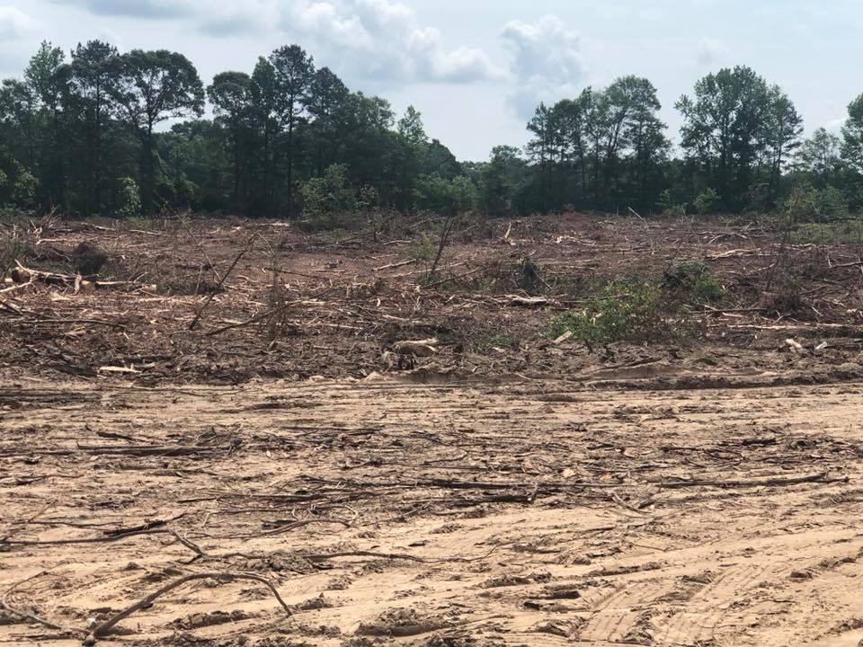 Cleared forest land with tree stumps and bare soil under a cloudy sky