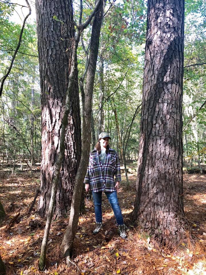 Person standing among tall trees in a wooded forest, wearing a plaid shirt and jeans.