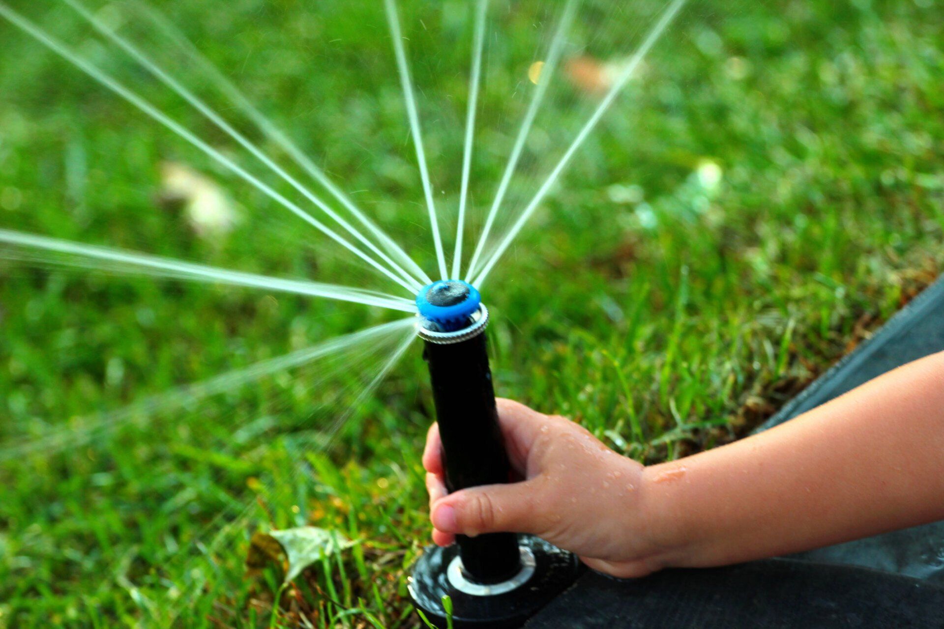 Person Adjusting Sprinkler Head — Chattanooga, TN — Coddington Enterprise Person Adjusting Sprinkler Head — Chattanooga, TN — Coddington Enterprise
