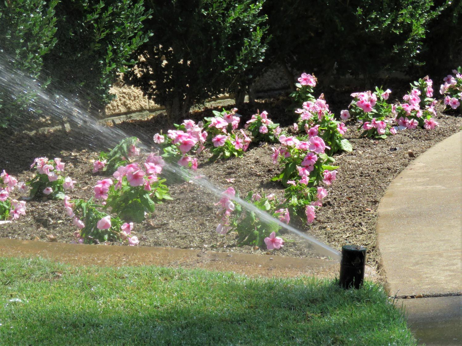 Watering Pink Flowers — Chattanooga, TN — Coddington Enterprise