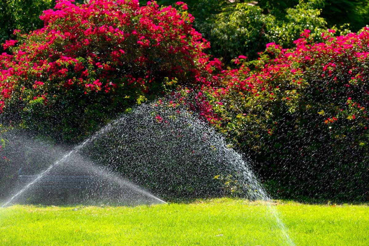 Watering Red Flowers — Chattanooga, TN — Coddington Enterprise