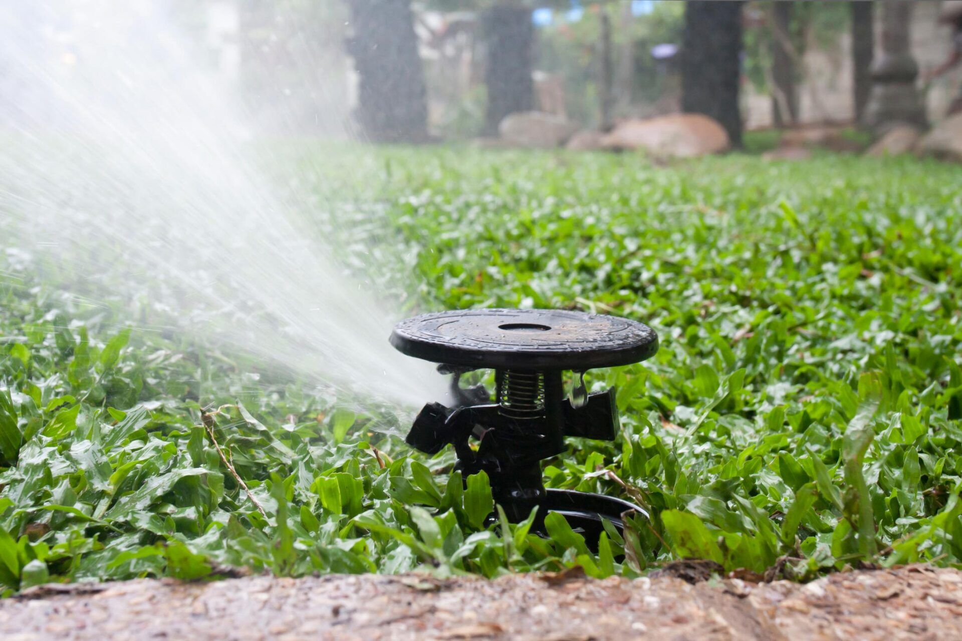 Older Model Sprinkler Head — Chattanooga, TN — Coddington Enterprise Older Model Sprinkler Head — Chattanooga, TN — Coddington Enterprise