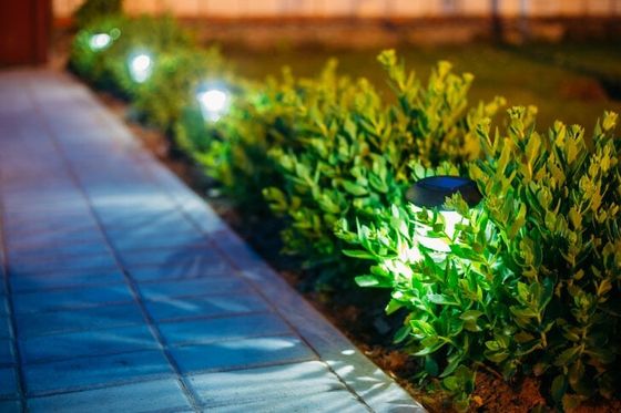 Illuminated garden shrubs beside a tiled walkway at night, lit by small path lights
