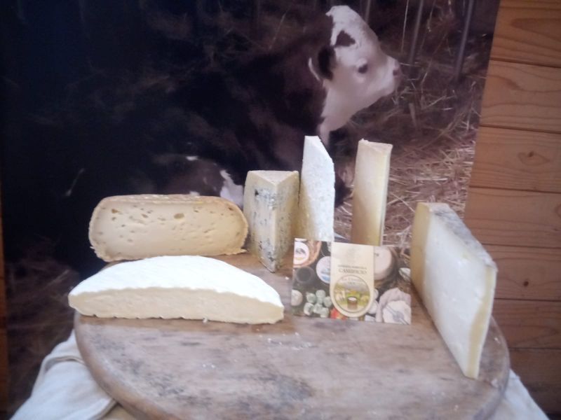 Vari tipi di toma