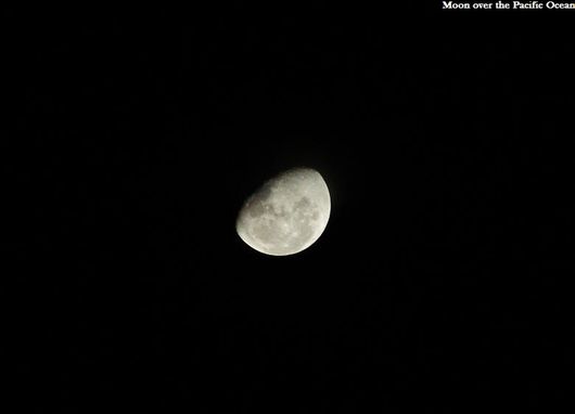 Moon in dark sky