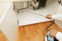 pest control service pest control service