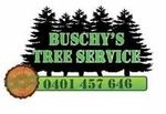 Tree Removals In Port Macquarie Tree Removals In Port Macquarie