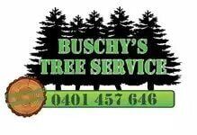 Tree Removals in Kempsey Tree Removals in Kempsey