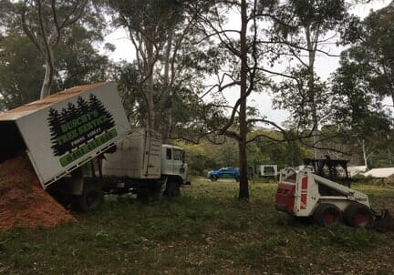 Truck And Dingo — Tree Removals In Kempsey, NSW