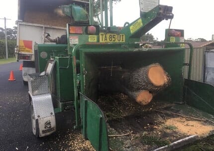 Mulcher — Tree Removals In Kempsey, NSW