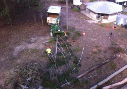 Full Mulching — Tree Removals In Kempsey, NSW