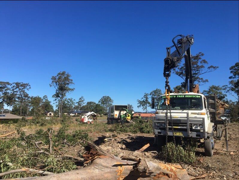 Land Clearing 2 — Tree Removals In Kempsey, NSW