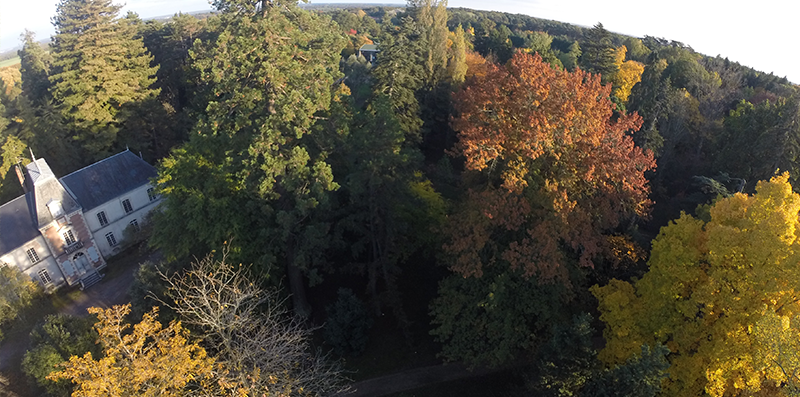 Bois  Arboretum des Barres Automne