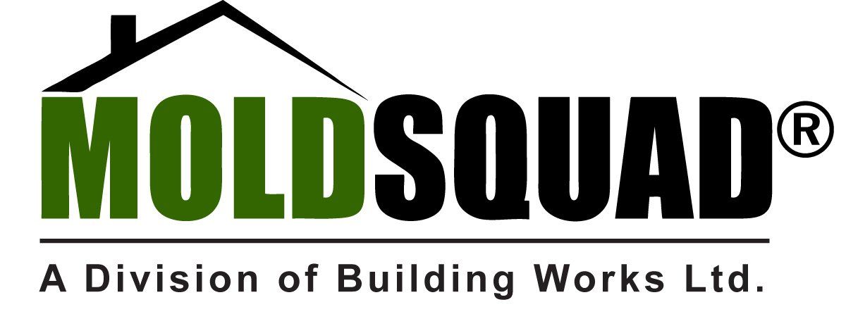 Mold Inspection, Testing & Removal