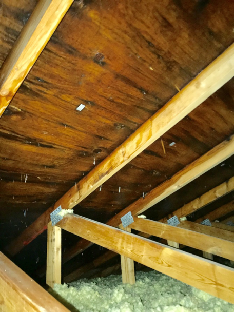 Building Remediation