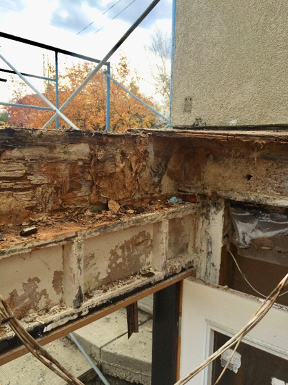 mold Removal Calgary