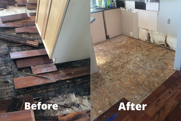 Mold Remediation Calgary