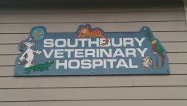 Southbury Veterinary Hospital LLC Southbury Veterinary Hospital LLC