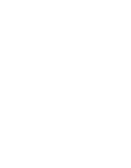 Pest Inspections Icon