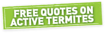 Free Quotes on Active Termites Free Quotes on Active Termites