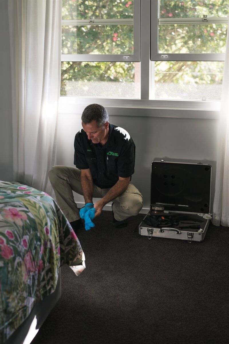 Bed Bug Treatment 1