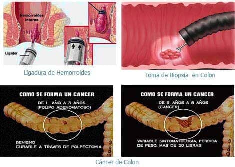 DIGECLINIC / DR. MICHAEL VITALE - Salud y bienestar
