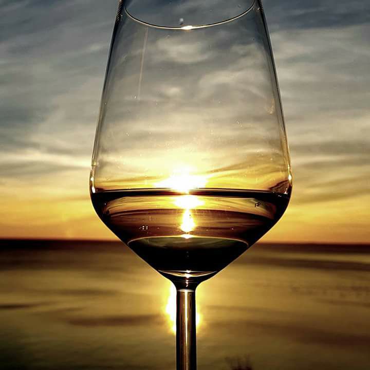 vino