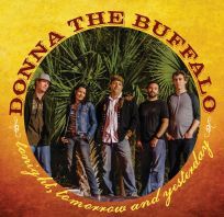 donna the buffalo vinyl