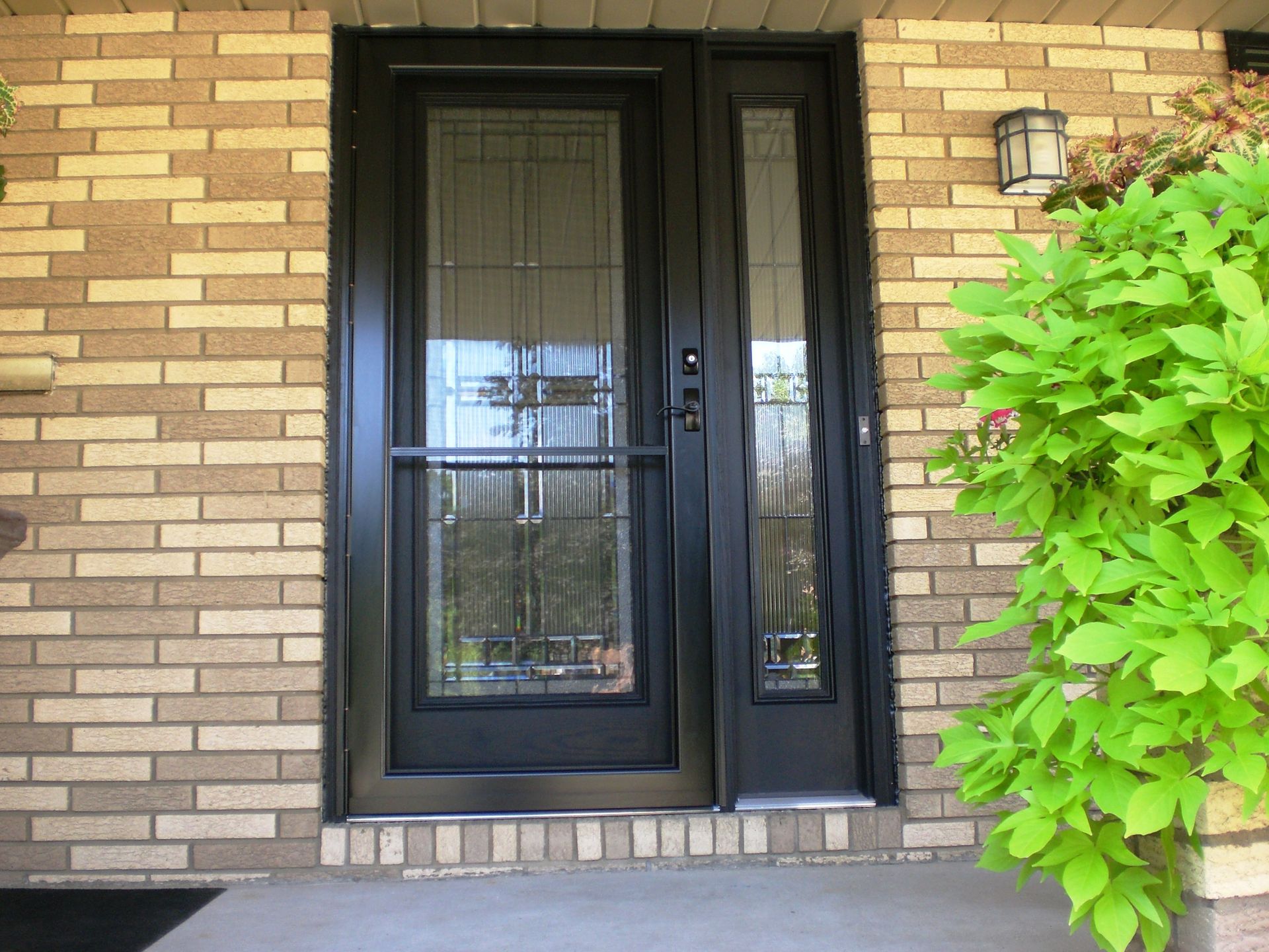 Paint Exterior Stain Interior w/ Storm Door